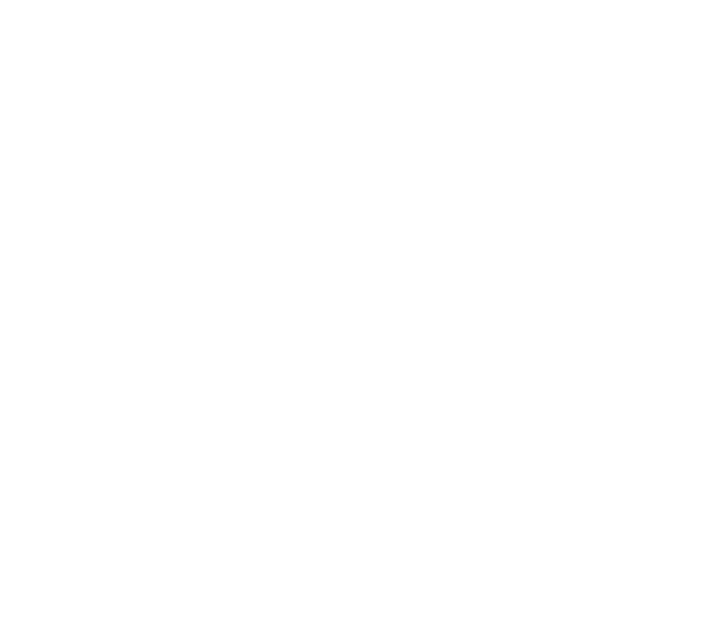 Sapaf 1954 - Luxury Handbags